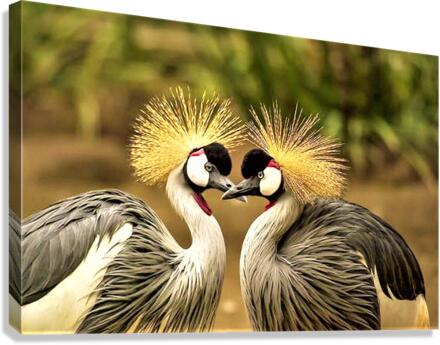 1724 Canvas Print