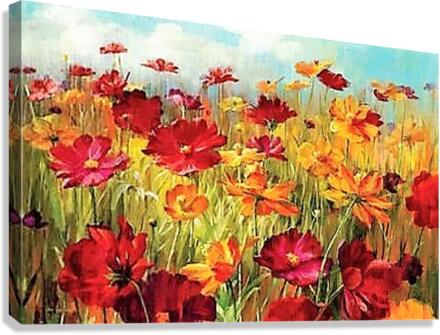 1737 Canvas Print