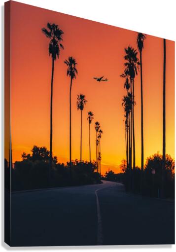 1743 Canvas Print