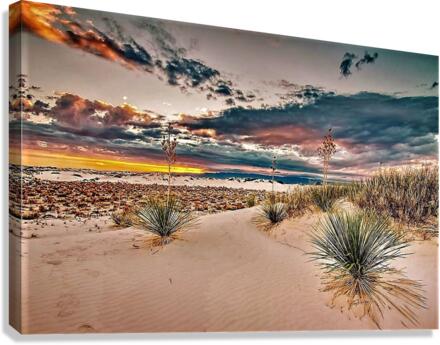 1744 Canvas Print