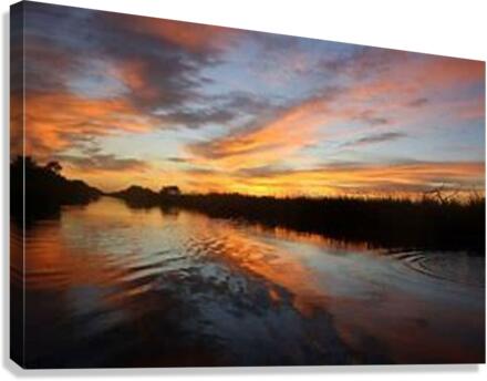1756 Canvas Print