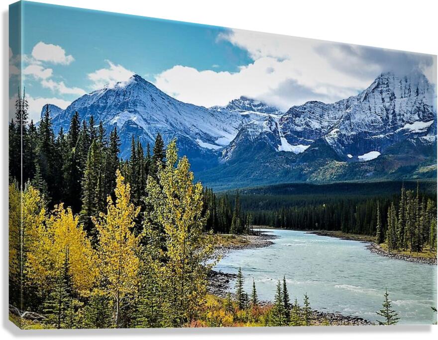 1759 Canvas Print