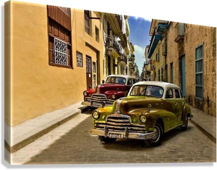 1813 Canvas Print