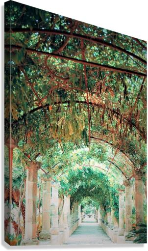 1850 Canvas Print