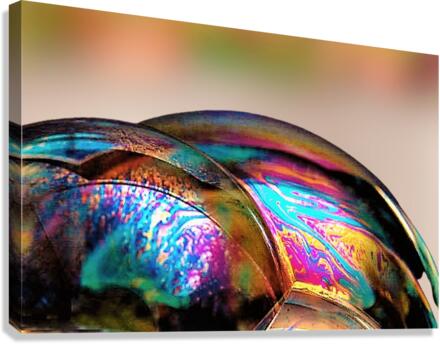 1969 Canvas Print