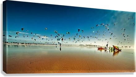 1981 Canvas Print