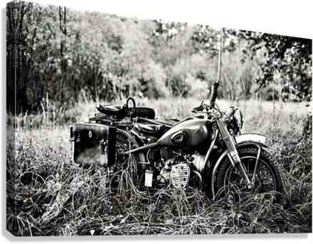 2009 Canvas Print