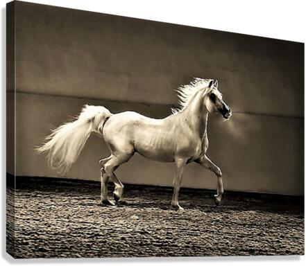 2028 Canvas Print