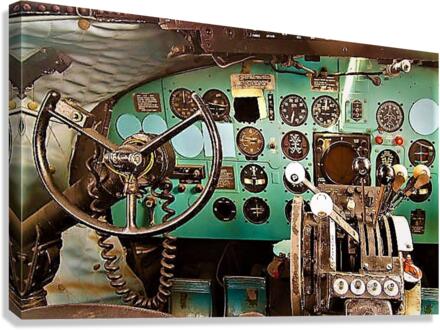 2041 Canvas Print
