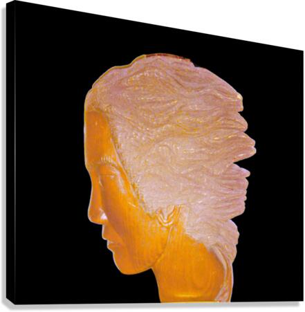 2053 Canvas Print