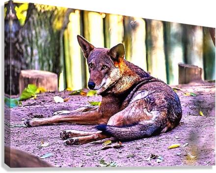 2056 Canvas Print