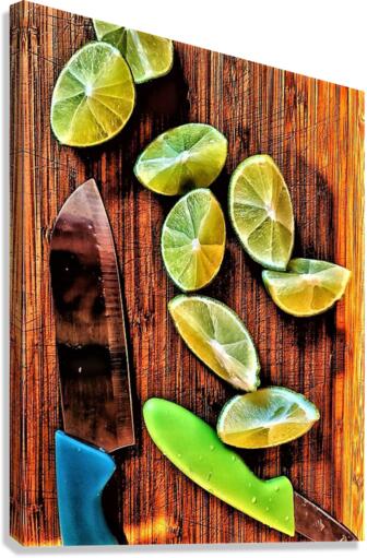 2058 Canvas Print