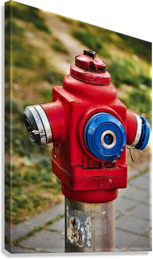 2065 Canvas Print