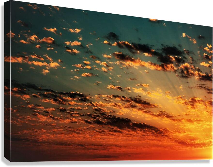 2068 Canvas Print