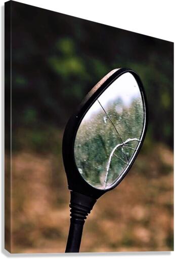 2067 Canvas Print