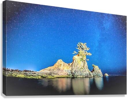 2077 Canvas Print