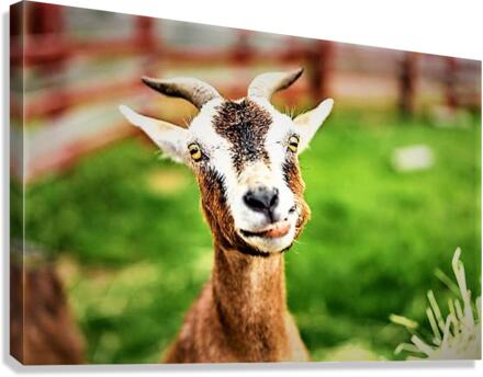 2083 Canvas Print