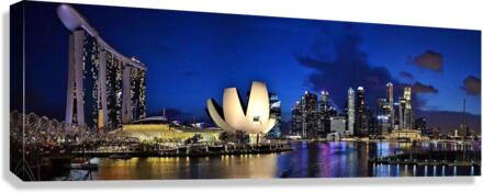 2097 Canvas Print