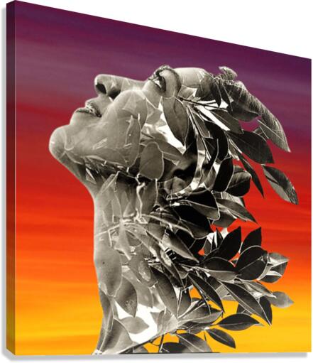 2098 Canvas Print