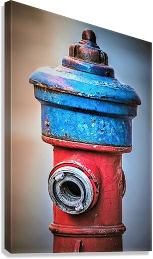 2100 Canvas Print