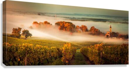 2117 Canvas Print