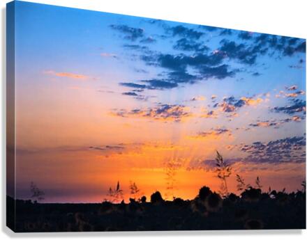 2130 Canvas Print