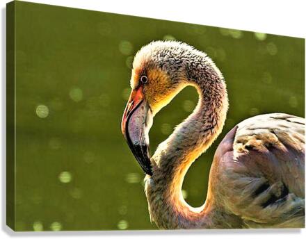 2131 Canvas Print