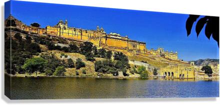 2134 Canvas Print