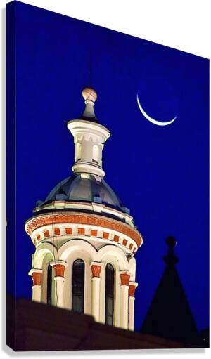 2156 Canvas Print