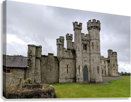 2161 Canvas Print
