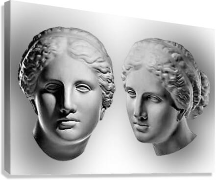 2163 Canvas Print