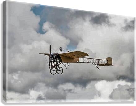 2164 Canvas Print