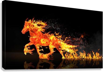 2165 Canvas Print