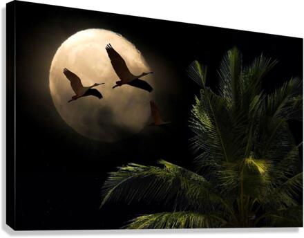 2167 Canvas Print