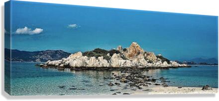 2169 Canvas Print
