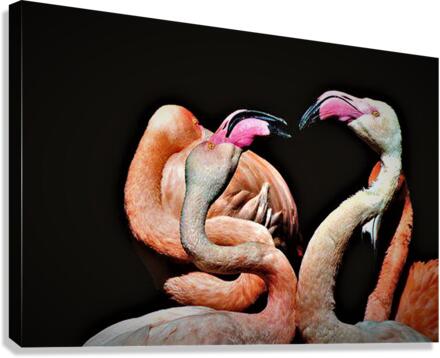 2170 Canvas Print