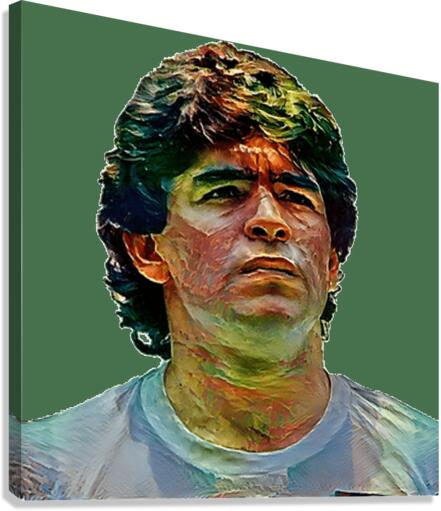 2175 Canvas Print