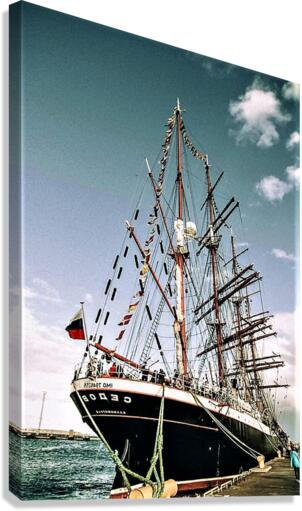 2196 Canvas Print