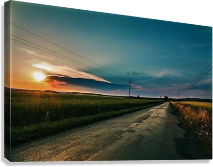 2198 Canvas Print