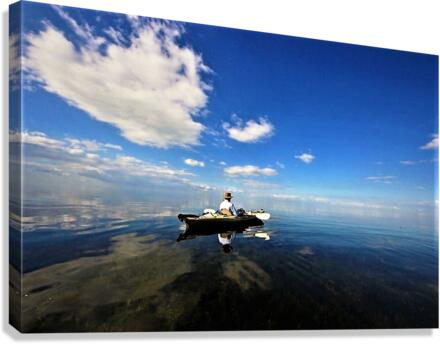 2201 Canvas Print