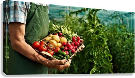 2203 Canvas Print