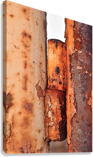 2209 Canvas Print