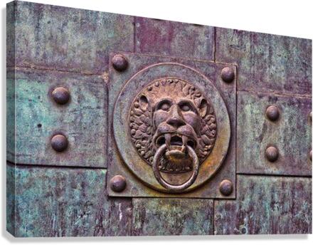 2211 Canvas Print