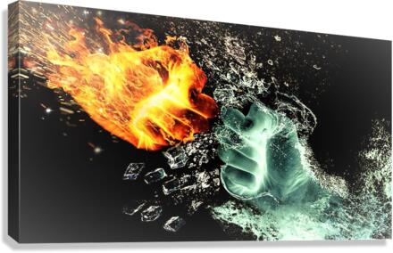 2224 Canvas Print