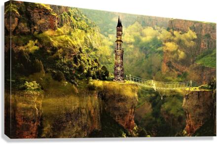 2227 Canvas Print