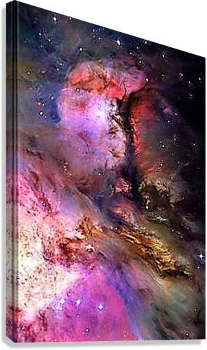 2231 Canvas Print