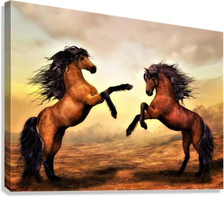 2243 Canvas Print