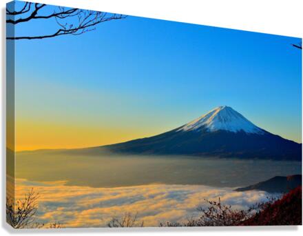 2244 Canvas Print