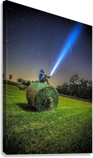 2250 Canvas Print