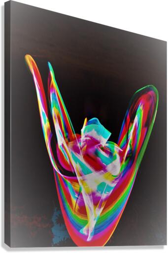 2256 Canvas Print